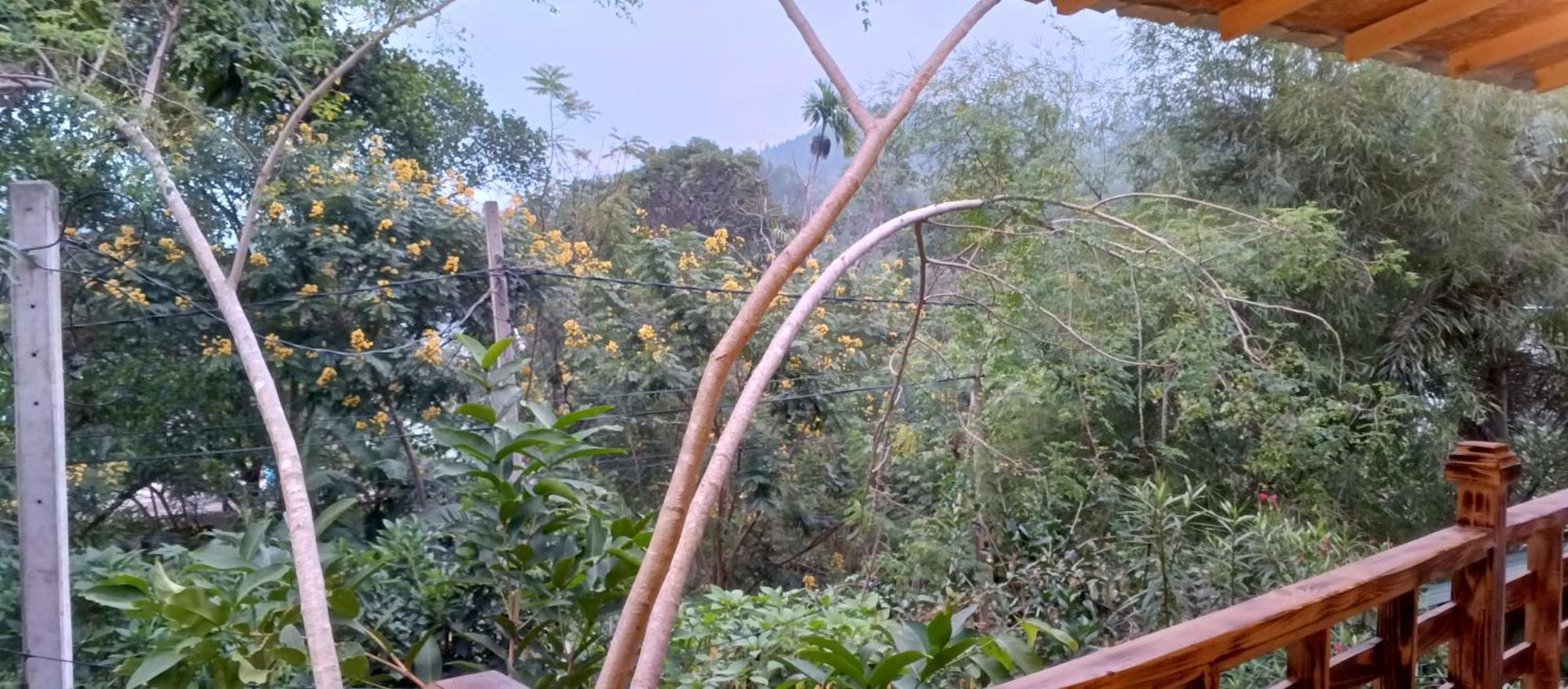Mc Queen Homestay إيلا المظهر الخارجي الصورة